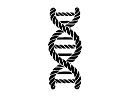 Learn DNA Soul healing